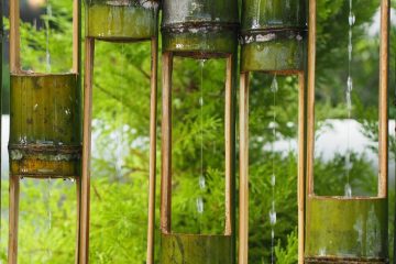 dwupunkt sesje skype telefon kraków łódź