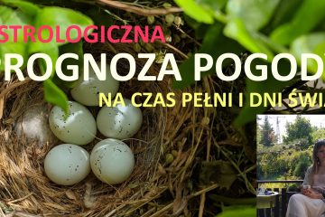 konsultacje astrologiczne ustawienia hellingera kroniki akaszy marta wrona direction future