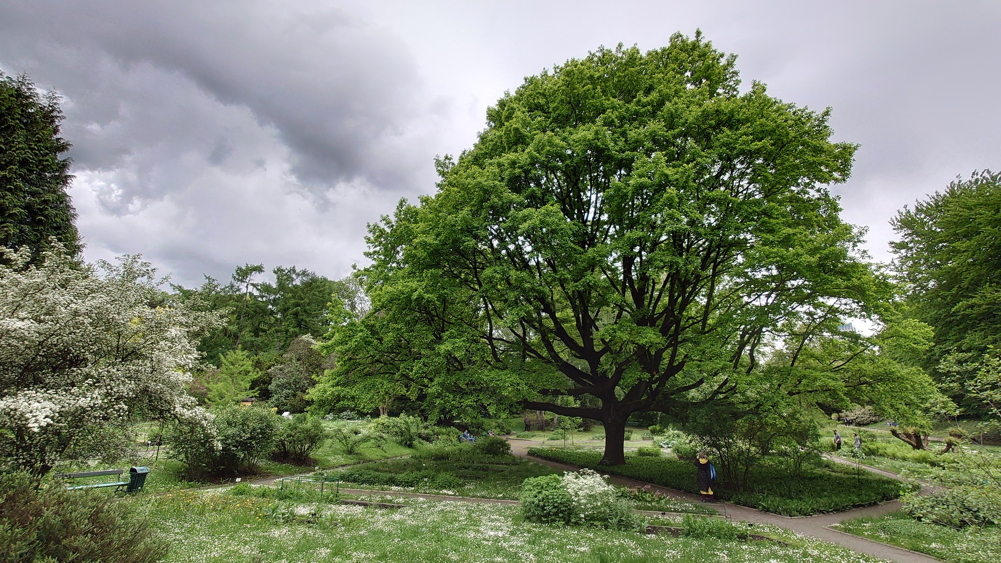 świadome śnienie irmina wrona analiza snów konsultacje astrologiczne feng shui ustawienia systemowe