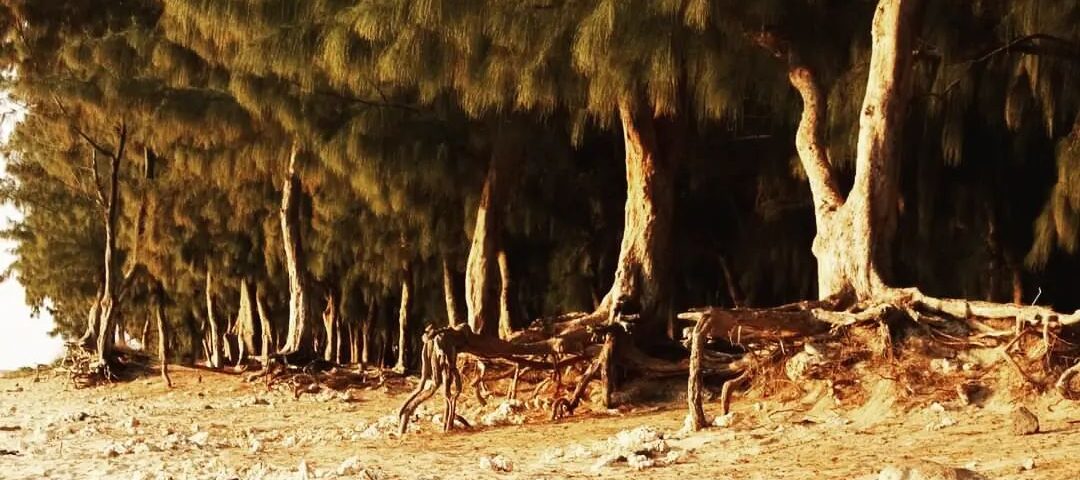 ustawienia hellingera konstelacje systemowe dla biznesu irmina wrona