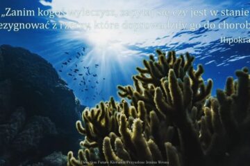 astrologia medyczna konsultacje astrologiczne feng shui dla firm