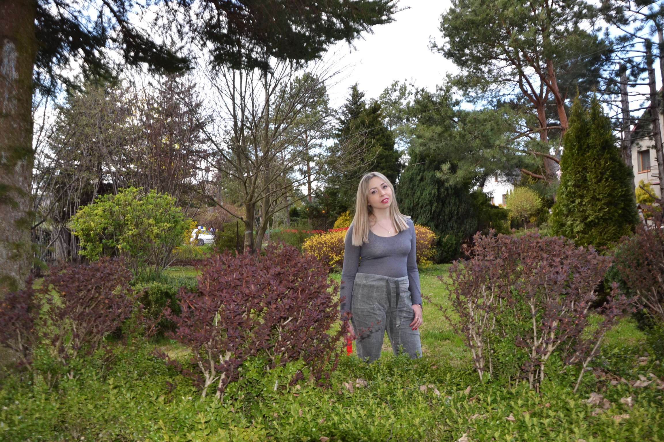 ustawienia systemowe irmina wrona astrologia finansowa kronika akaszy online