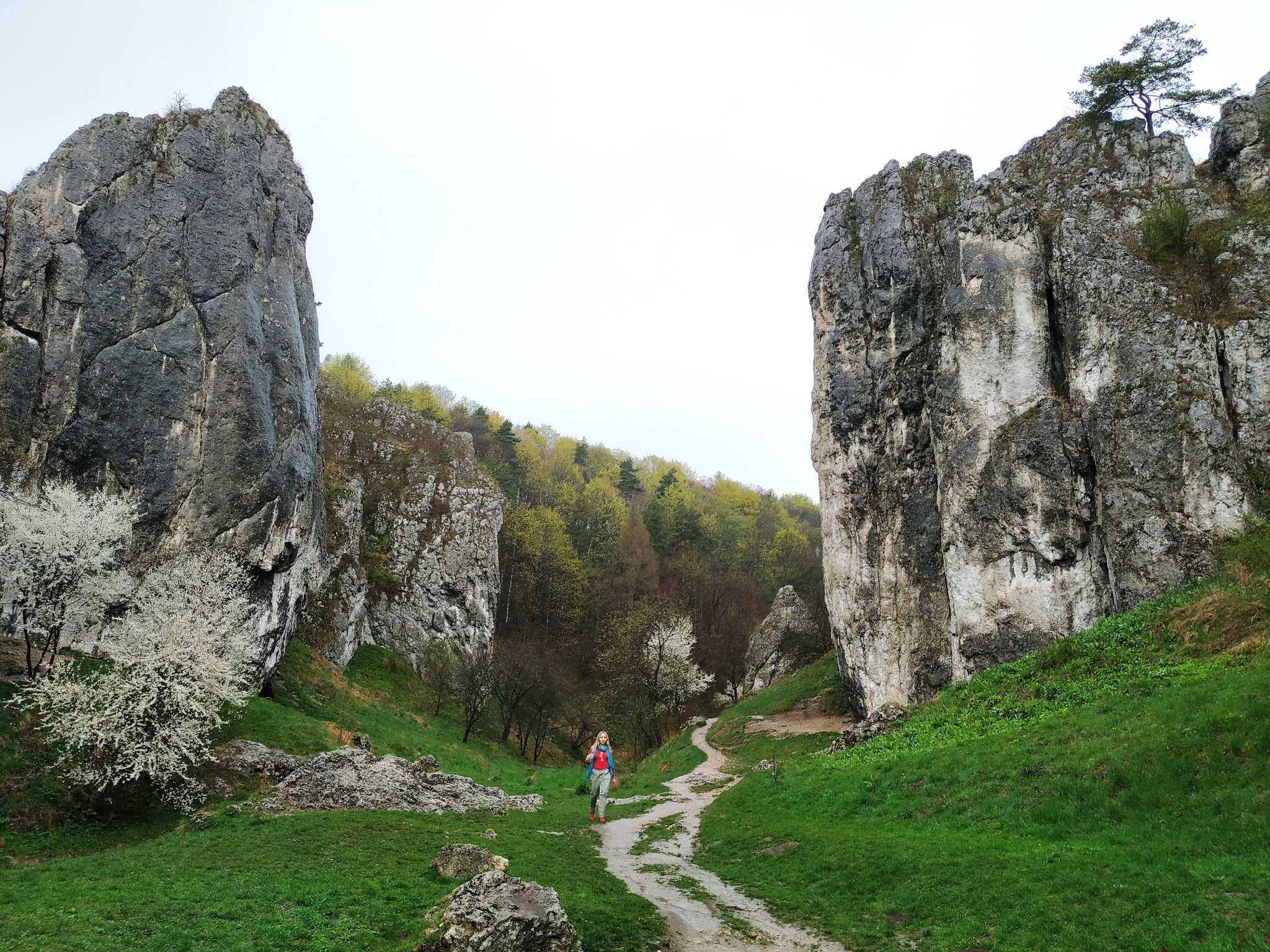 irmina wrona konsulacja feng shui astrologia finansowa