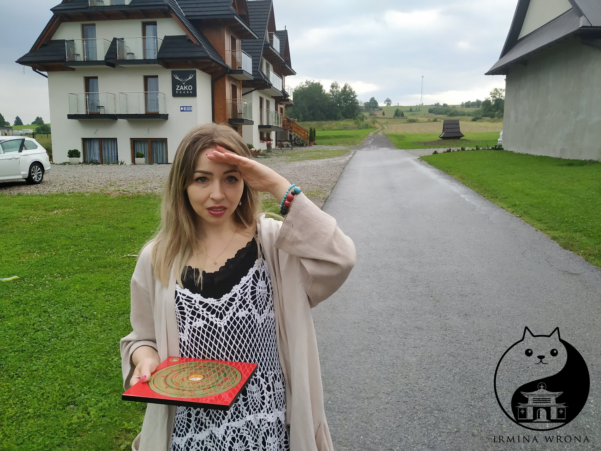 konsultacje feng shui irmina wrona direction future astrologia finansowa ustawienia systemowe warsztaty online