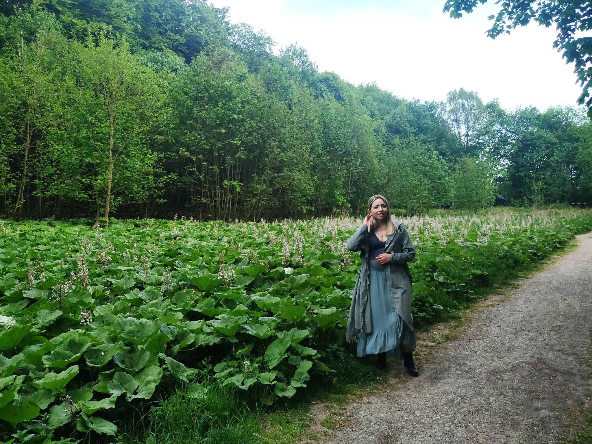 pełnia w skorpionie direction future ustawienia systemowe dla firm feng shui konsultant