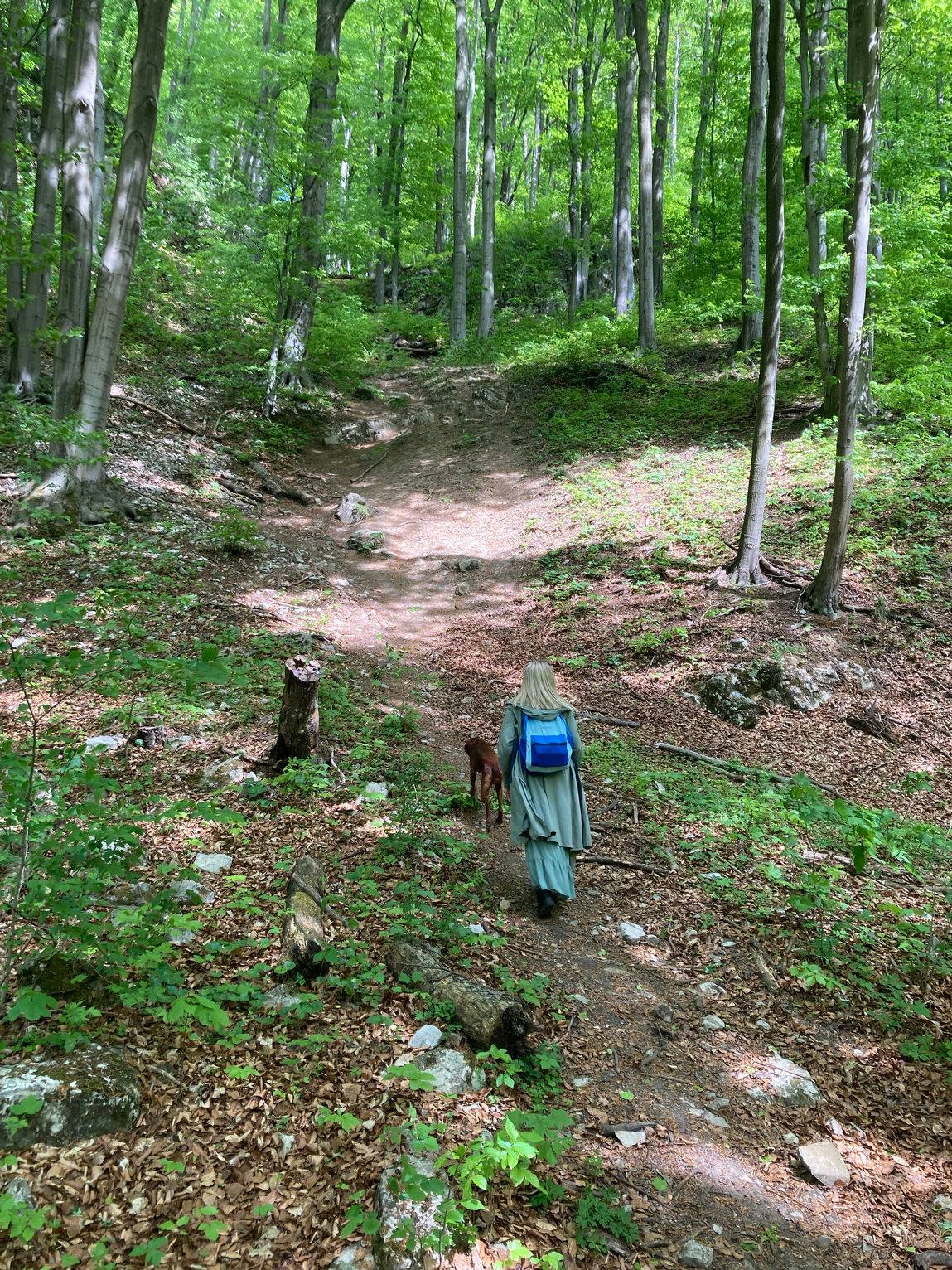 ustawienia systemowe irmina wrona feng shui dla firm